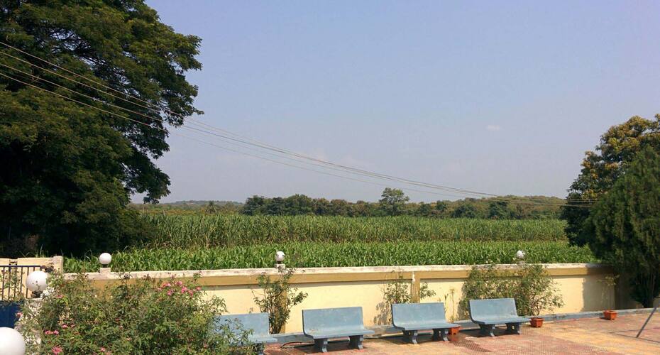 Hotel Rainbow, Sasan Gir 4